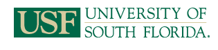 University Of South Florida